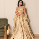 Sheena lehenga